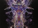 Traced in Air [VINYL] Cynic Vinyl