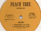 Arlana - Springtime - Orig. Rare Modern Soul Boogie Promotional 12 Inch