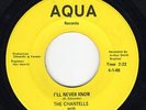 Chantells / Aqualads  I'll Never Know / Don't Look   Northern Soul  Beach Music