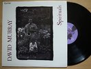 DAVID MURRAY Spirituals JAPAN ORIG LP DIW SPIRITUAL FREE JAZZ