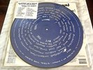 System of a Down Picture Disc Steal This Album 2002 2 LP NM RARE KORN DEFTONES