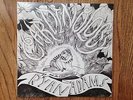Ryan Adams & The Cardinals - Cardinology LP 2008 Vinyl Neal Casal