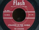 45bs-R&B vocal group-Flash 109-The Jayhawks