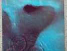 Pink Floyd _ Meddle _ Harvest 1 C 062-04 917  --  Top Zustand