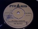 THE MAYTALS , WE SHALL OVERCOME . LISTEN TO BOTH SIDES .