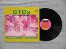 GTO'S - PERMANENT DAMAGE US PSYCH LP ORIGINAL STRAIGHT LABEL FRANK ZAPPA MOTHERS