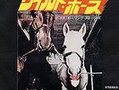 Wild Horses Rolling Stones 7