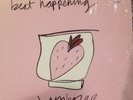 BEAT HAPPENING Jamboree VINYL LP / Calvin Johnson Halo Benders