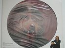 WARREN ZEVON Werewolves Of London NM ASYLUM Promo Only 12
