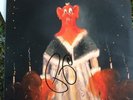 Autographed Phish Story Of The Ghost LP album 1998 Framed RARE EUC Certificate