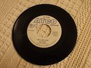 GARAGE THE CORDS AIN'T THAT LOVE/I'LL DO JUST WHAT I WANT TO DO ATCO 6687 M-