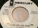 RARE GARAGE PSYCH FUZZ PROMO 45/ THE BIRTH OF SPRING 