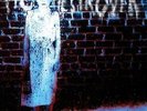 PIG DESTROYER - BOOK BURNER NEW VINYL