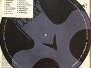 System Of A Down Steal This Album 2LP PICTURE DISC *US SELLER* 2002 press korn