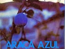 CAETANO VELOSO ARAÇA AZUL PSYCH FOLK TROPICALIA ORIGINAL BRAZIL PHILIPS LP