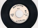 BOIL THE KETTLE MOTHER THE ID US RCA ORIGINAL 1960'S BEAT GARAGE SURF FUZZ MOD