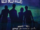 THE LIBERTINES ANTHEMS FOR DOOMED YOUTH NEW SEALED VINYL LP IN STOCK