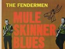 INSANELY RARE PRESSING OF MULE SKINNER BLUES BY THE FENDERMEN AND MINT