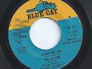 THE AD LIBS northern soul JOHNNY MY BOY blue cat 45 HEAR