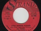 R&B Rocker 45 - Bill Harris - Little Momma Pleaser - Strand - mp3