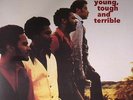 THE LOST GENERATION Young, Tough and Terrible LP NEW VINYL Brunswick reissue Al