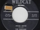 Girl Group 45 - Chiffons - Never Never - Wildcat - mp3