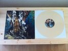 Converge - Axe To Fall LP (1ST PRESS, Cream /500) RARE & OOP