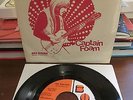 Captain Foam - No Reason - RARE Pic Sleeve PSYCH / Hard Rock / Fuzz 45 Bold