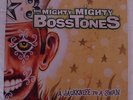 The Mighty Mighty Bosstones A Jackknife to a Swan(2002 Side One Dummy records)lp