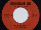Northern Soul 45 SHEPPARD BOY My Angel Baby INTERNATIONAL HITS HEAR