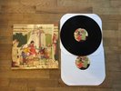 ANIMAL COLLECTIVE Feels 2xlp Original Fat Cat 1st Press Vinyl MINT Panda Bear Lp