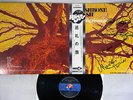 WISHBONE ASH PILGRIMAGE MCA MCA-5089 Japanese Pressing OBI with autograph LP