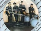 The Beatles Silver Beatles Like Dreamers Do Vinyl LP Set Picture Disc MINT