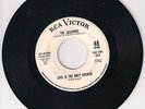 THE LOLLIPOPS LOVE IS THE ONLY ANSWER northern soul R&B on U.S.RCA DEMO original