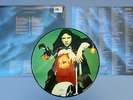 Meat Loaf   Bat Out Of Hell II / Back Into Hell   Ltd Picture Disc #3286