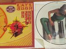 KATE BUSH-THE KICK INSIDE-LIMITED EDITION PICTURE DISC EMI EMCP 3223-IMPORT-LP