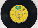 TNT THE G.G. RHYTHM SECTION hot skinhead ska reggae UK BLUE CAT ORIGINAL