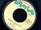 UPS1 LEE PERRY & UPSETTERS-WHITE BELLY RAT-UPSETTER-REGGAE 45 7