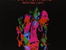 Foo Fighters - Wasting Light (2011)  180g Vinyl 2LP  NEW/SEALED  SPEEDYPOST