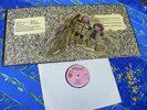 JETHRO TULL ? STAND UP 1st ?  TOP PINK EYE ISLAND RECORDS #10