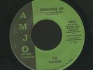 Sweet Soul/Funk 45 - Futures - Breaking Up - Amjo