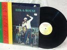 Eek-A-Mouse Bubble Up Yu Hip LP 1980 OOP Never On CD Roots Radics Channel One
