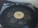 Tree, Swallows, Houses EP - Maps And Atlases Vinyl Record 12