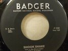 ROCKABILLY KEN DAVIS SHOOK SHAKE/ECHO ROCK RARE BADGER 250 WISCONSIN KILLER VG++