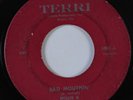 Blues 45 WILLIE B Bad Mouthin' TERRI HEAR