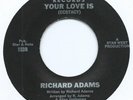 MODERN SOUL / FUNK BOOGIE 45 - RICHARD ADAMS 