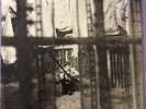 Paul McCartney ?– Chaos And Creation In The Backyard SUPER RARE LTD SEE DETAILS