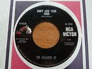 The Galaxies IV - Don't Lose Your Mind 1967 USA 45 RCA GARAGE/PSYCH