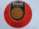 The Grains of Sand - That's When Hapiness Begins 1966 USA 45 VALIANT PSYCH