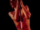 IGGY AND THE STOOGES RAW POWER NEW SEALED MUSIC ON VINYL 180G 2LP IN STOCK